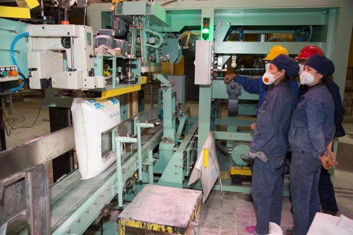 化肥厂自动包装线试生产成功